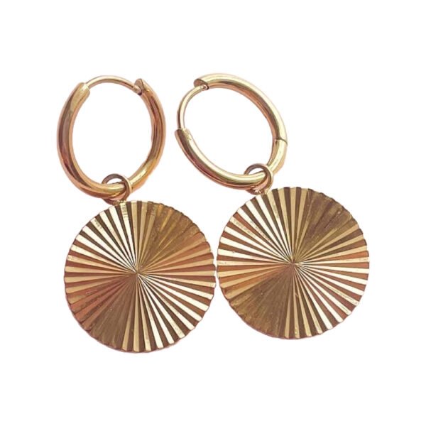 Sunny Hoops